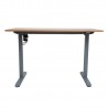 Desk ERGO LIGHT with 1 motor 120x60cm, silver grey oak