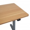 Desk ERGO LIGHT with 1 motor 120x60cm, silver grey oak