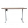 Desk ERGO LIGHT with 1 motor 120x60cm, white oak