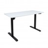 Desk ERGO LIGHT with 1 motor 120x60cm, black white