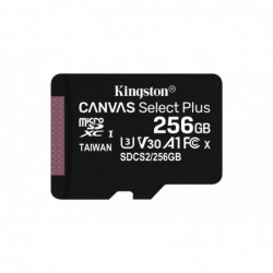 Kingston Technology 256GB...