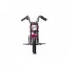 Battery-powered Motor A9902 36V Pink