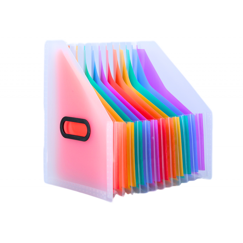 Vertical Document Organizer Folder Colored Tabs Pockets A4