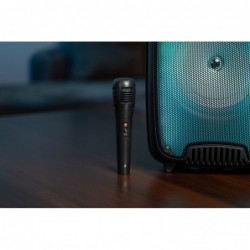 Large portable speaker KARAOKE FLAMEZILLA MT3178