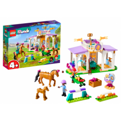 LEGO FRIENDS Horse Training...