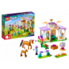 LEGO FRIENDS Horse Training 41746