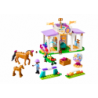 LEGO FRIENDS Horse Training 41746