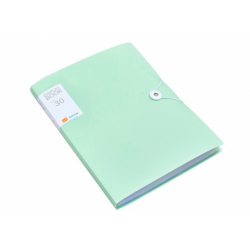 Plastic Folder with Elastic Band 30 Pcs Green A4