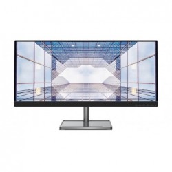 Lenovo L29w-30 73.7 cm...