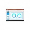 Lenovo ThinkVision M14d skarm - WLED -