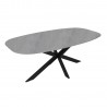 Dining table 200x100xH76cm, grey