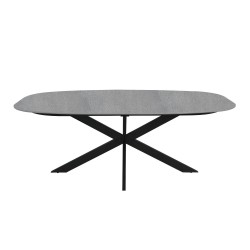 Dining table 200x100xH76cm, grey