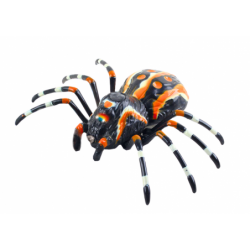 Remote Controlled Spider RC Infrared Water Steam Lights