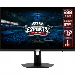 MSI G244F E2 computer...