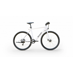 Hybrid E-Bike 250 W 21 "...