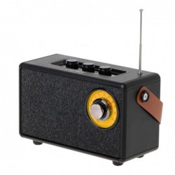 Speaker with radio CR 1902...