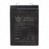 AGM Gel Battery For A Car For A 6V4.5Ah Battery