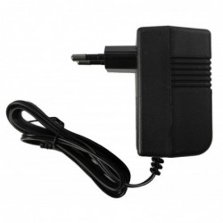 Electric Ride On Car Battery Charger 6V