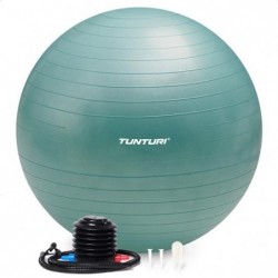 Tunturi Gymball with pump...