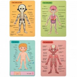 Tooky Toy Wooden Magnetic Puzzle Learning Human Anatomy 78el.