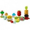 LEGO DUPLO 10984 ORGANIC GARDEN