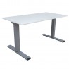 Desk ERGO OPTIMAL with 2 motors 160x80cm, greyish white