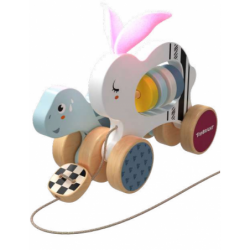 TOPBRIGHT Activity toy The Hare and the Tortoise