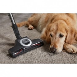 Complete C3 Cat & Dog Flex Red Mango Bag Vacuum Cleaner