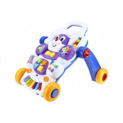 Baby Toddler Push Along Activity Educational Toy Lights Sounds