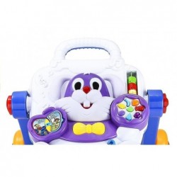 Baby Toddler Push Along Activity Educational Toy Lights Sounds