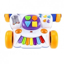 Baby Toddler Push Along Activity Educational Toy Lights Sounds