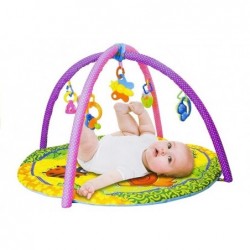 Baby Activity Gym Hanging Toys Mat 4 Types