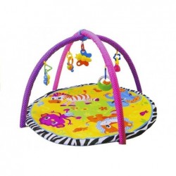 Baby Activity Gym Hanging Toys Mat 4 Types