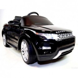 Range Rover Black Painting...