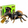 Remote Controlled Spider Tarantula Walking Remote R/C