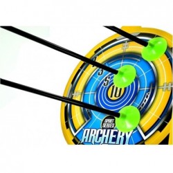 Sport Bow For Children + Arrows Archery