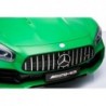 HL289 Mercedes GTR - Green