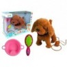 Interactive Dog On a Leash Poodle with Accessories