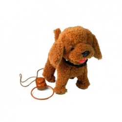 Interactive Dog On a Leash Poodle with Accessories