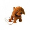 Interactive Dog On a Leash Poodle with Accessories