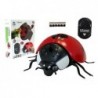 Radio Controlled Ladybug R/C Insect