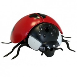 Radio Controlled Ladybug R/C Insect