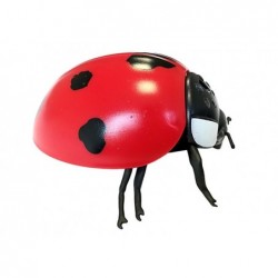 Radio Controlled Ladybug R/C Insect