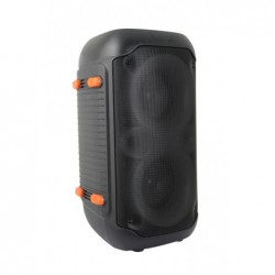 Esperanza EP156 BT FM LED RGB KARAOKE Speaker Black 20W