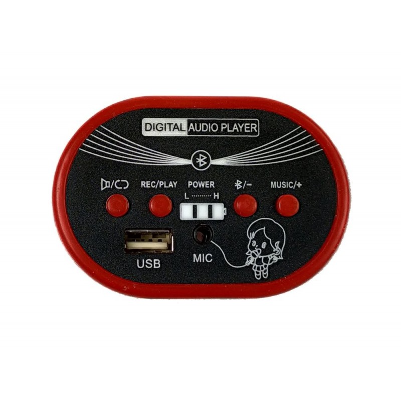 Music panel for electric motorbike ABM-5288