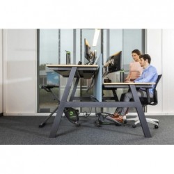 Miniratas TUNTURI Cardio Fit D10 Under Desk bike