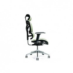 Ergonomic office chair ERGO...