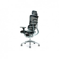 Ergonomic office chair ERGO...