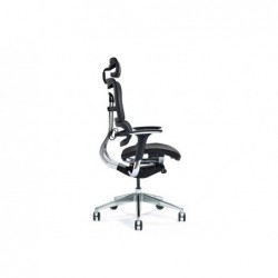 Ergonomic office chair ERGO...