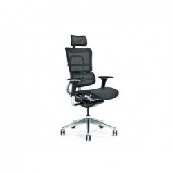 Ergonomic office chair ERGO 800-M black